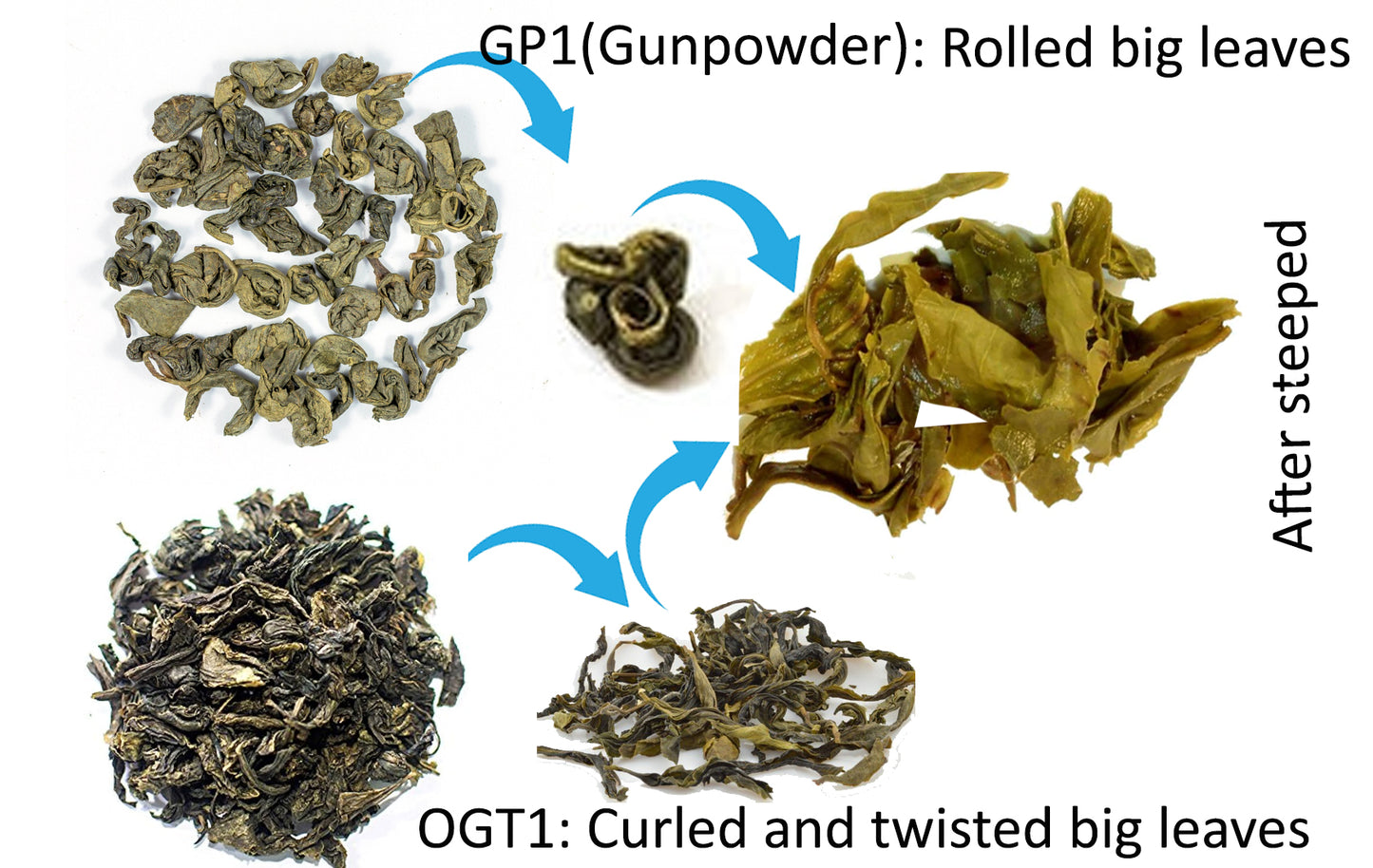 Certified Organic Pure Ceylon KANDY  Over-fermented GREEN TEA OGT1 (Big Leaves)