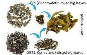 Certified Organic Pure Ceylon Green GP1 (Rolled Big leaves) Premium Leaves Tea