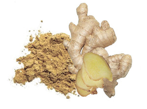 Pure Ceylon Ginger Power from Eco-friendly Farming - laksoiltraders